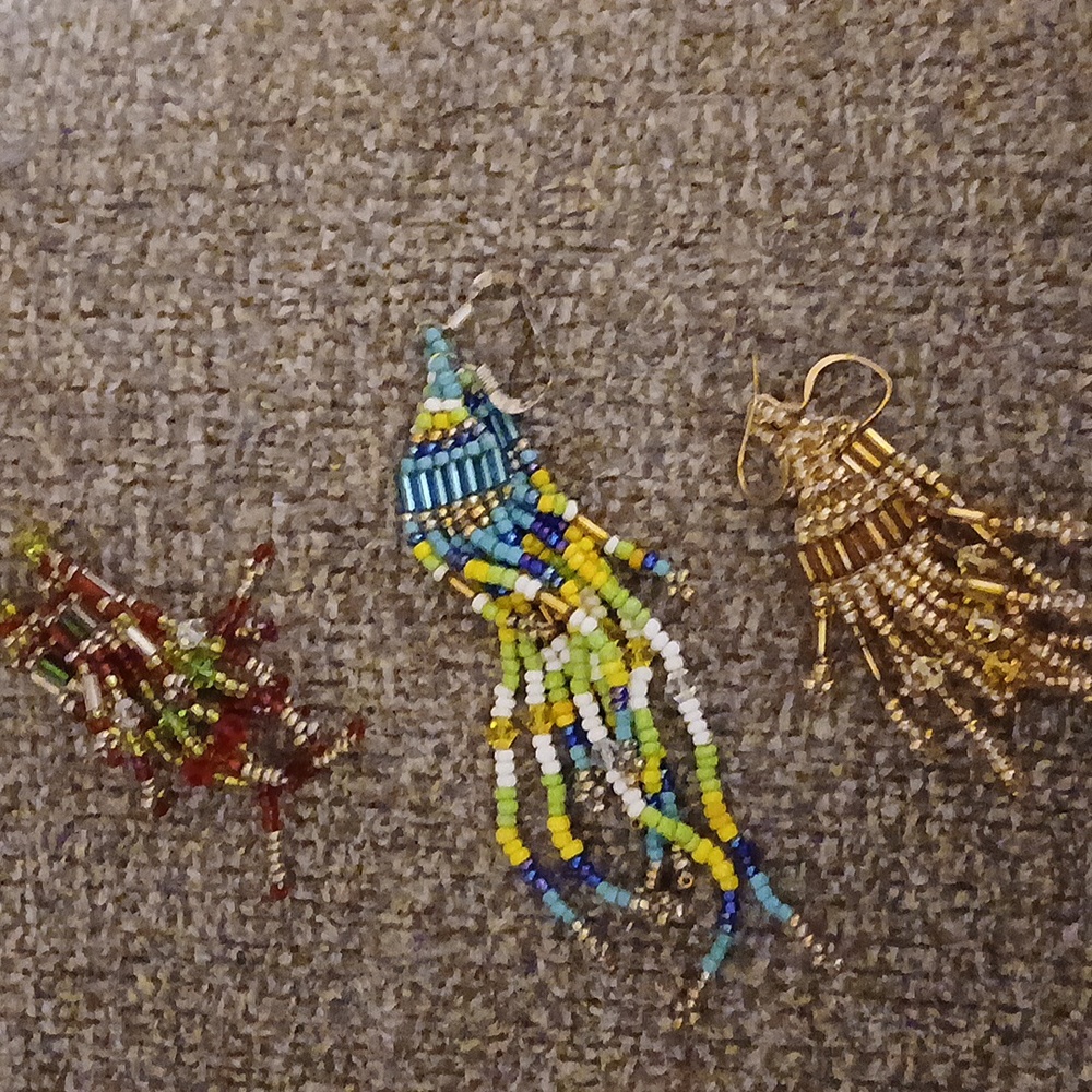 I am  selling  earrings  to get  money  for  me get cat food  and me food